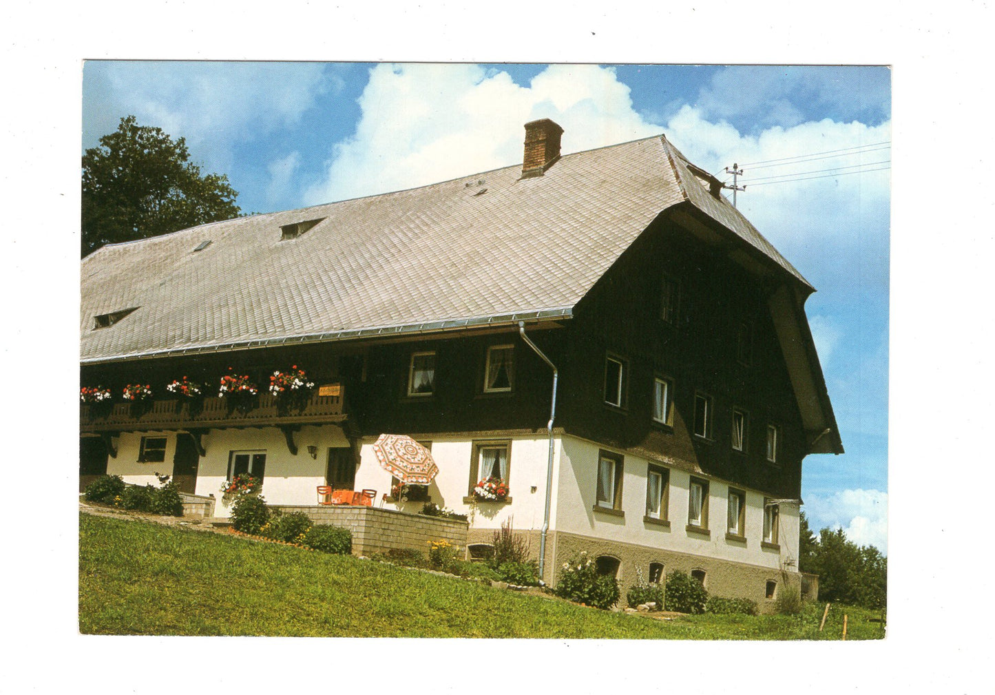 Ansichtskarte Michelthomilishof / Hinterzarten im Schwarzwald / G1-66