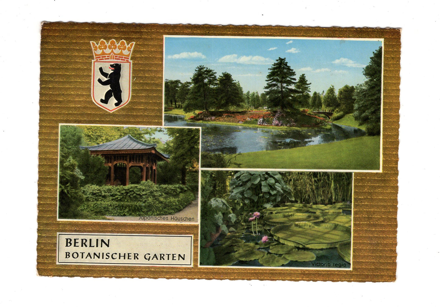 Ansichtskarte Berlin / Botanischer Garten