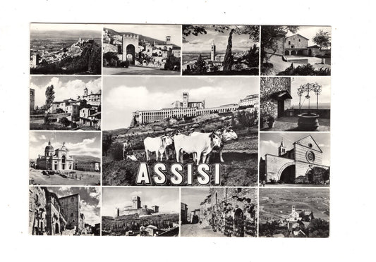 Ansichtskarte Assisi / Italien / N1-56