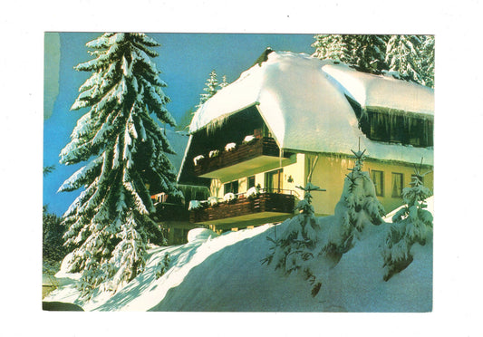 Ansichtskarte Haus Eckert / Hinterzarten im Schwarzwald / G1-66