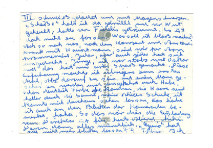 Ansichtskarte Locarno / Lago Maggiore / Schweiz