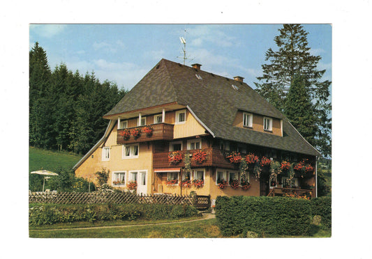 Ansichtskarte Familie Lickert / Hinterzarten im Schwarzwald / G1-66