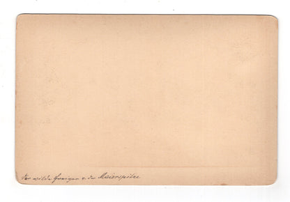 Fotografie Wilder Freiger von der Mairspitze / Österreich - um 1880 / CAB U-36