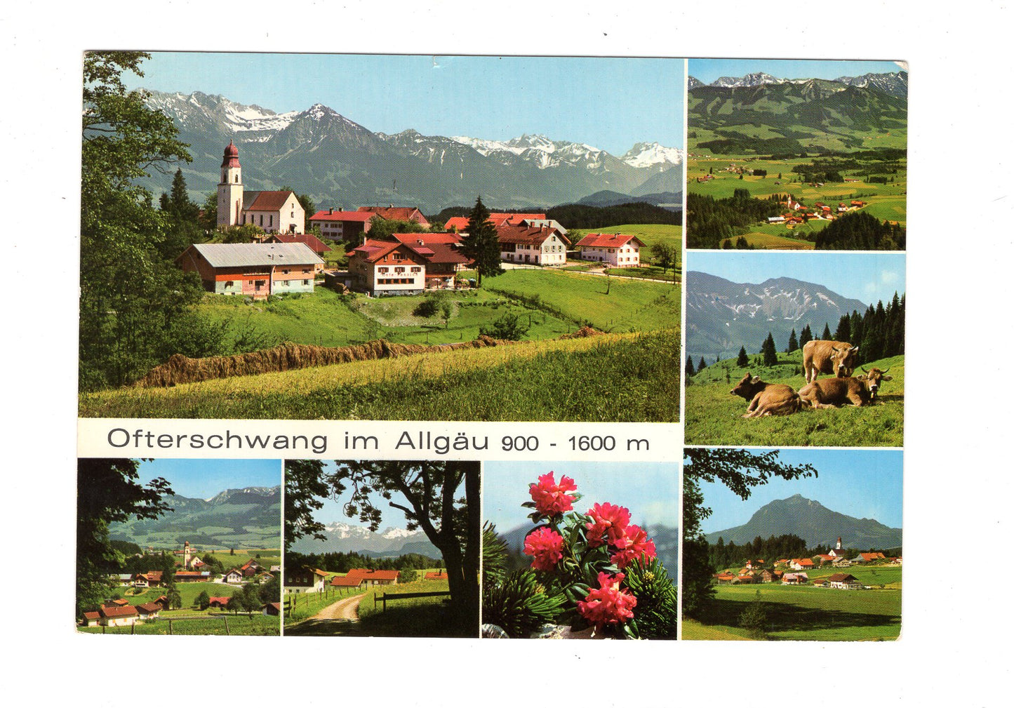 Ansichtskarte Ofterschwang im Allgäu / I1-62