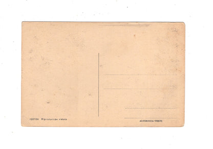 Ansichtskarte Assisi / Chiesa di S. Maria degli Angeli / Italien / N1-56