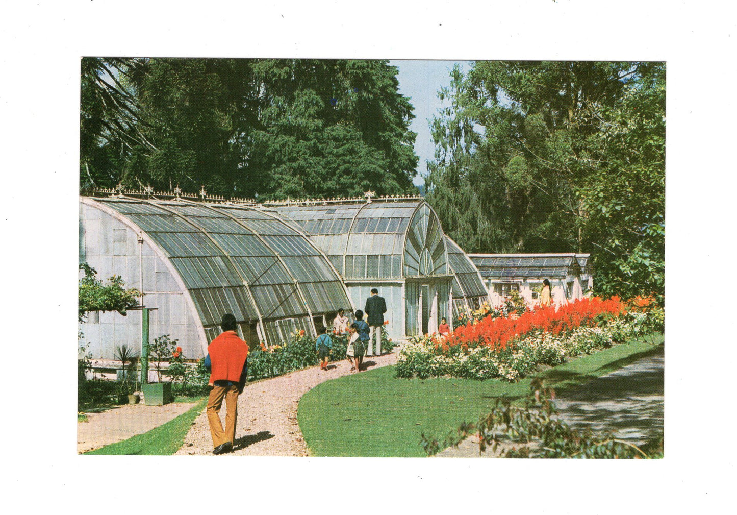 Ansichtskarte Darjeeling / Botanical Garden / Indien