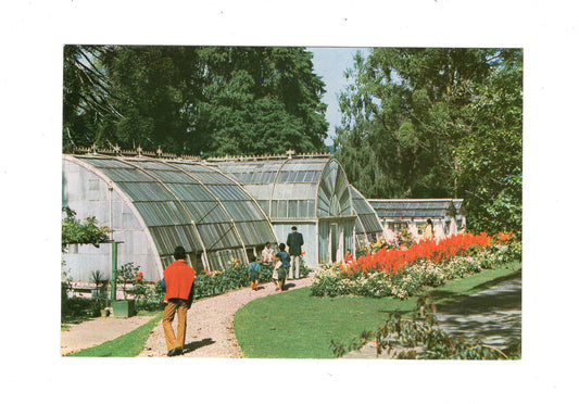Ansichtskarte Darjeeling / Botanical Garden / Indien