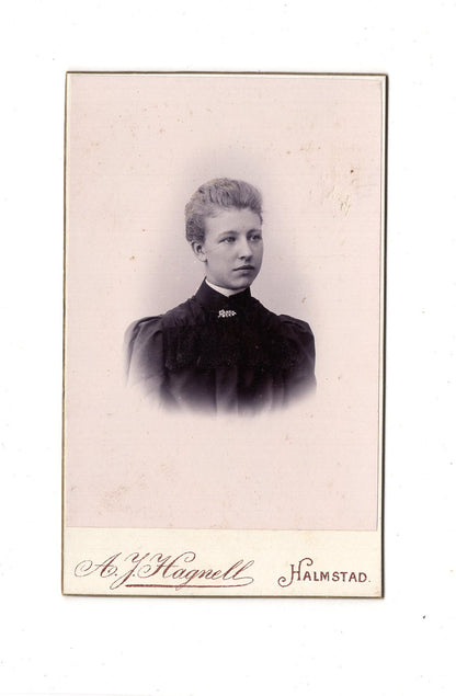 Fotografie Damenportrait - Halmstad 1890er / CDV C1-13