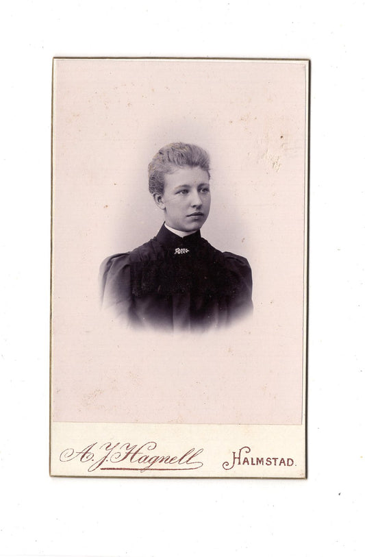 Fotografie Damenportrait - Halmstad 1890er / CDV C1-13