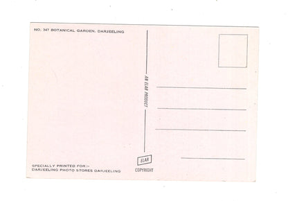 Ansichtskarte Darjeeling / Botanical Garden / Indien