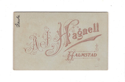 Fotografie Damenportrait - Halmstad 1890er / CDV C1-13