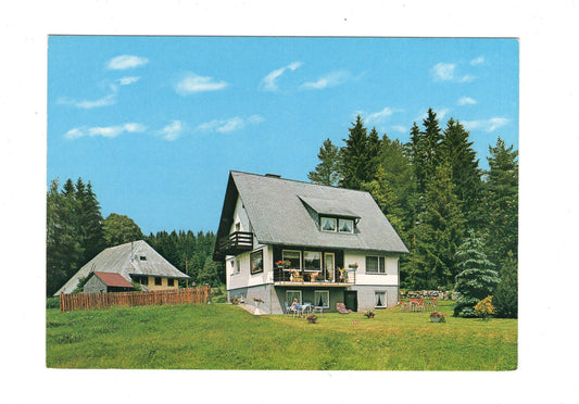 Ansichtskarte Pension Dinger / Hinterzarten-Erlenbubruck im Schwarzwald / G1-67