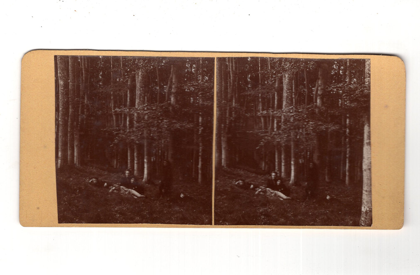 Fotografie Frau mit Kindern im Wald - unbekannter Ort