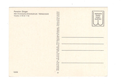 Ansichtskarte Pension Dinger / Hinterzarten-Erlenbubruck im Schwarzwald / G1-67