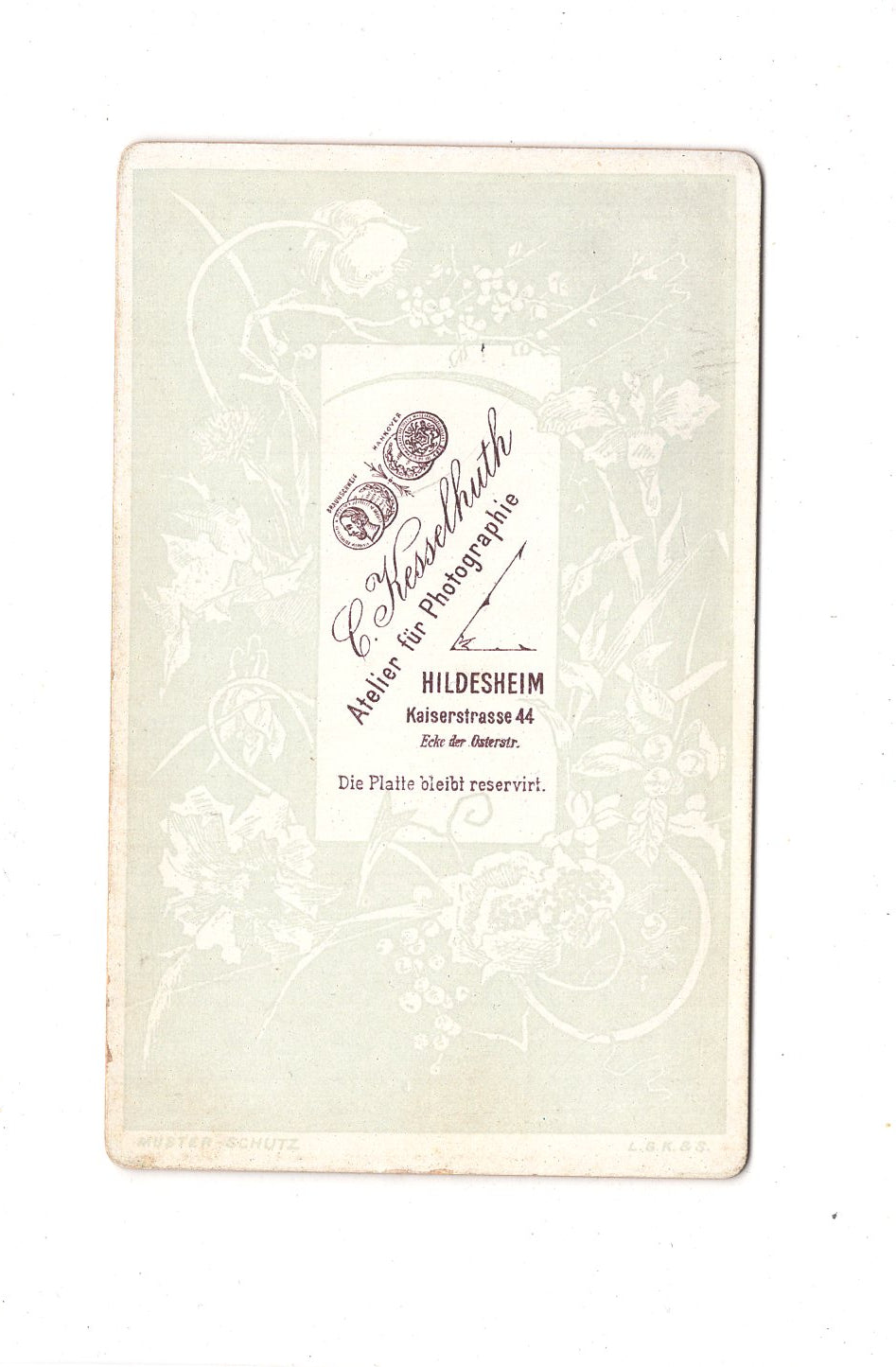 Fotografie Damenportrait - Hildesheim 1880er / CDV C1-13