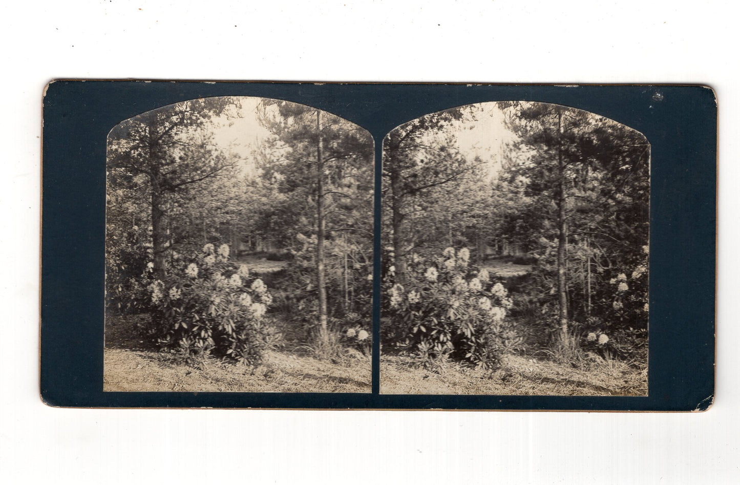 Fotografie Historische Landschaftsansicht - unbekannter Ort