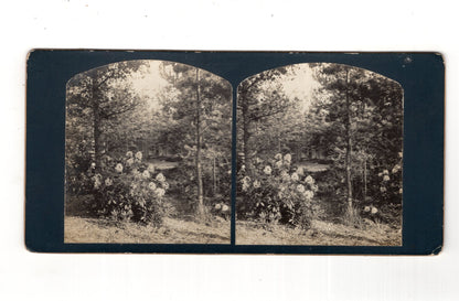 Fotografie Historische Landschaftsansicht - unbekannter Ort