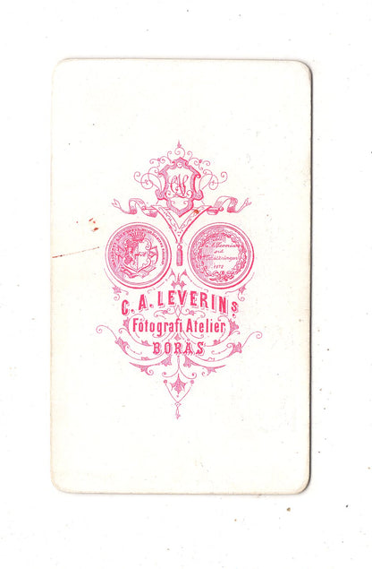 Fotografie Herrenportrait - Boras / Schweden 1870er