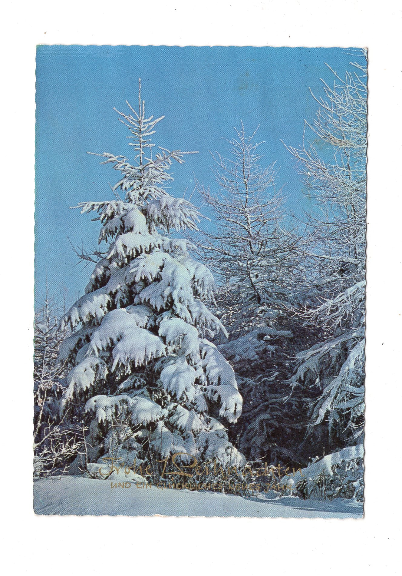 Ansichtskarte Feiertage / Frohe Weihnachten / K1-69