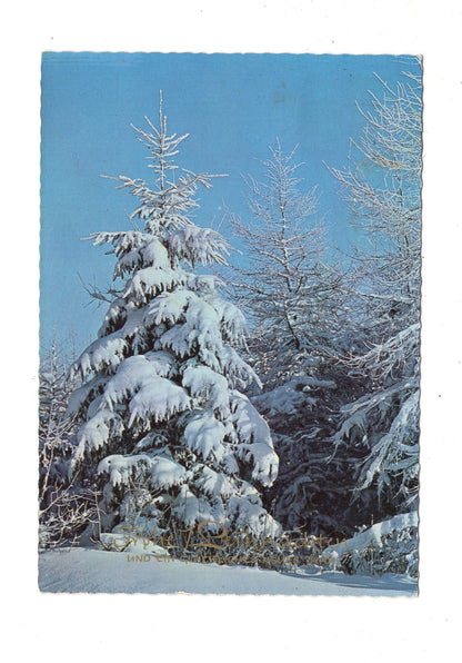 Ansichtskarte Feiertage / Frohe Weihnachten / K1-69