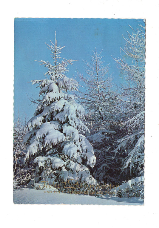 Ansichtskarte Feiertage / Frohe Weihnachten / K1-69