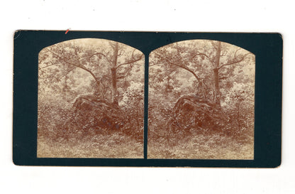 Fotografie Historische Landschaftsansicht - unbekannter Ort