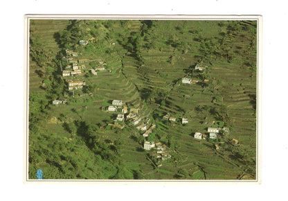 Ansichtskarte La Gomera / Valle Gran Rey / Spanien