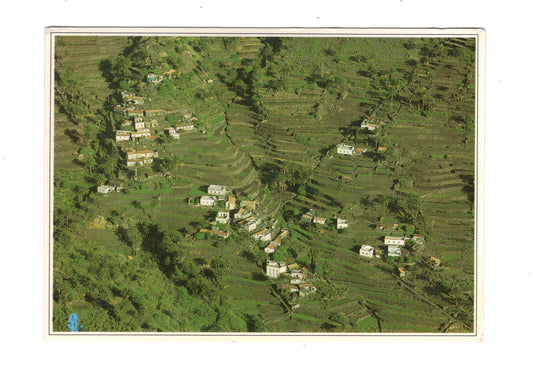 Ansichtskarte La Gomera / Valle Gran Rey / Spanien