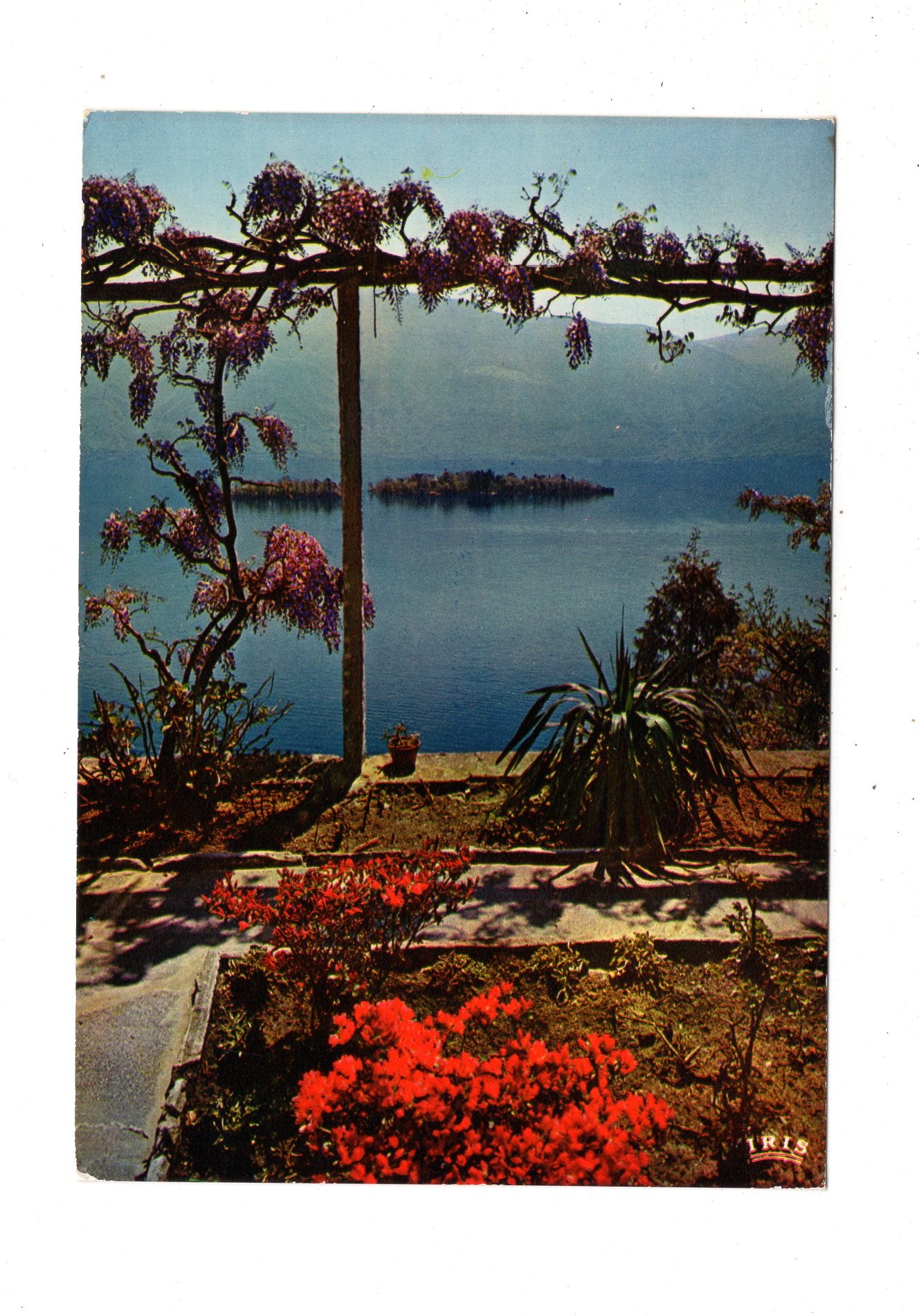 Ansichtskarte Porto-Ronco / Lago Maggiore / Schweiz