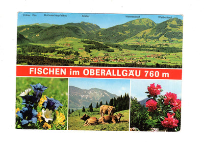 Ansichtskarte Fischen im Oberallgäu / M1-55