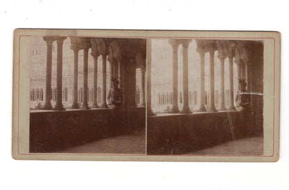 Fotografie Feine Dame - unbekannter Ort