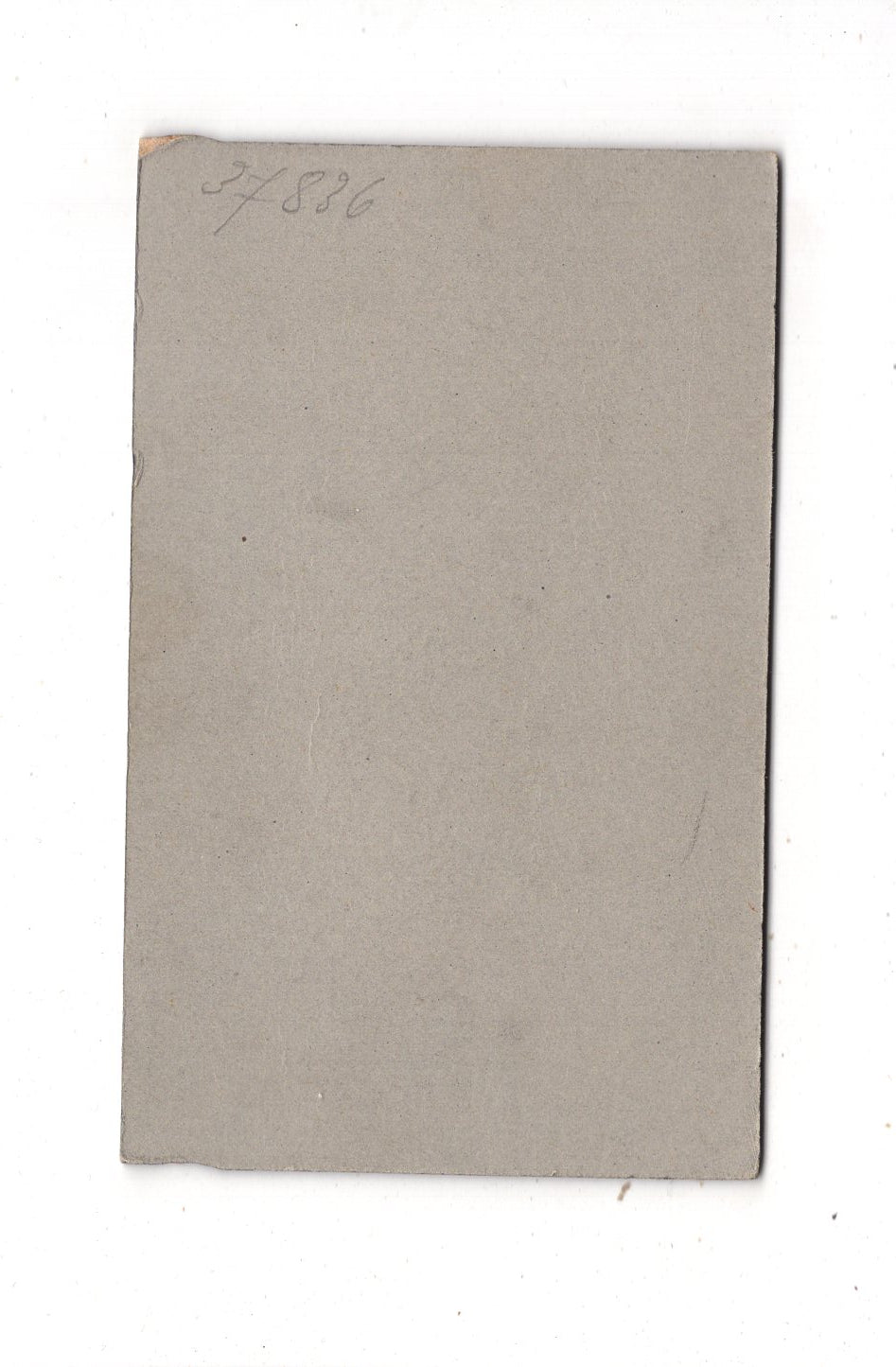 Fotografie Feine Dame - München 1910er / CDV L1-34