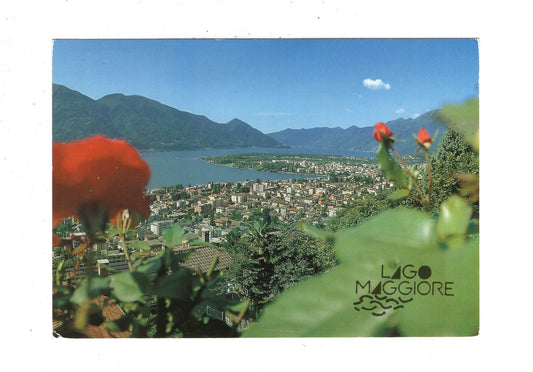 Ansichtskarte Minusio-Locarno / Lago Maggiore / Schweiz