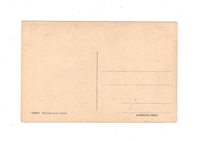 Ansichtskarte Assisi / Basilica Patriarcale di S. Maria degli Angeli / Italien / N1-56