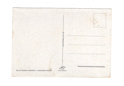 Ansichtskarte Srinagar / Nishat Gardens / Indien