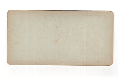 Fotografie Mann und Junge in einem Garten - unbekannter Ort