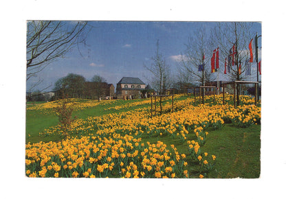 Ansichtskarte Broicher Schlosswiese
