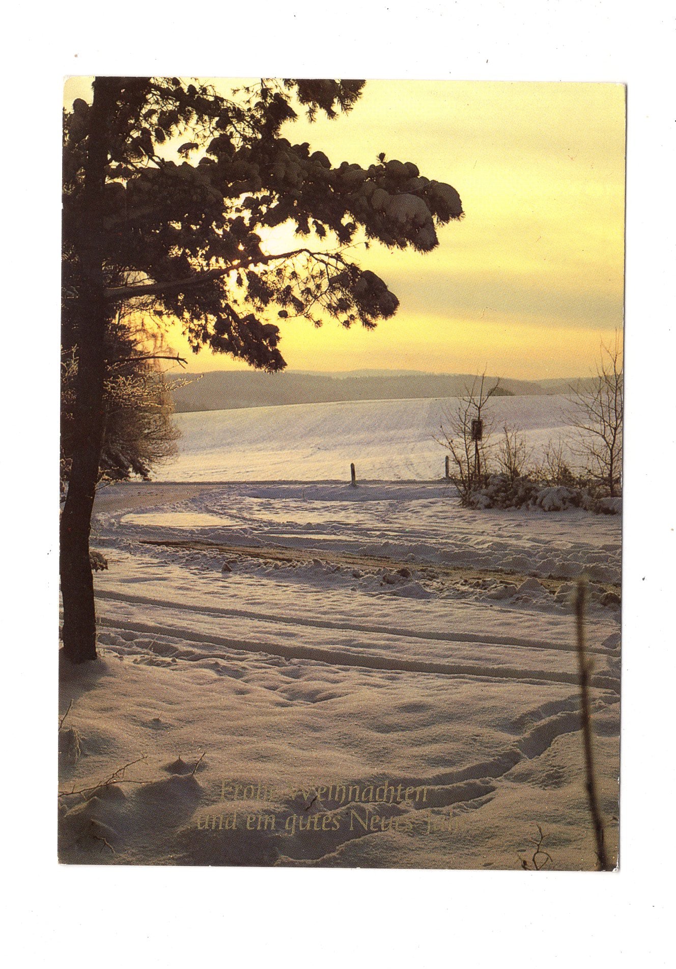 Ansichtskarte Feiertage / Frohe Weihnachten / K1-69