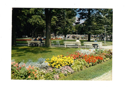 Ansichtskarte Bad Hersfeld / Partie im Kurpark
