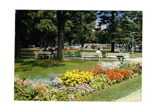 Ansichtskarte Bad Hersfeld / Partie im Kurpark