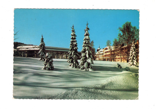 Ansichtskarte Hinterzarten im Hochschwarzwald / Park-Hotel Adler / G1-67