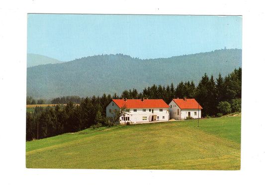 Ansichtskarte Pension Waldesruh / Kroissenhof
