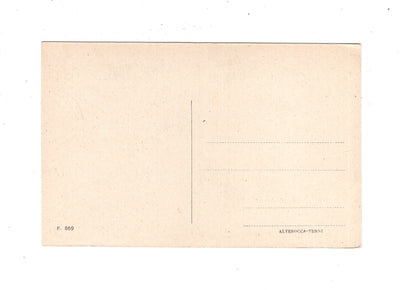 Ansichtskarte Assisi / Basilica Patriarcale di S. Francesco / Italien / N1-56