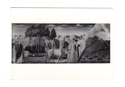 Ansichtskarte Assisi / Cattedrale / Italien / N1-56