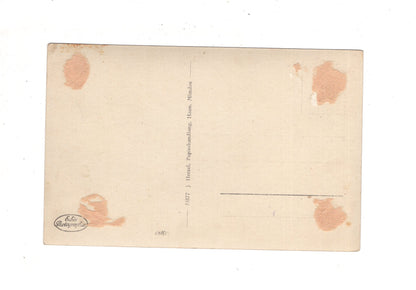 Ansichtskarte Hann. Münden / Weserstein / J1-58