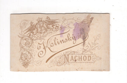 Fotografie Schloss Nachod in Tschechien - um 1880