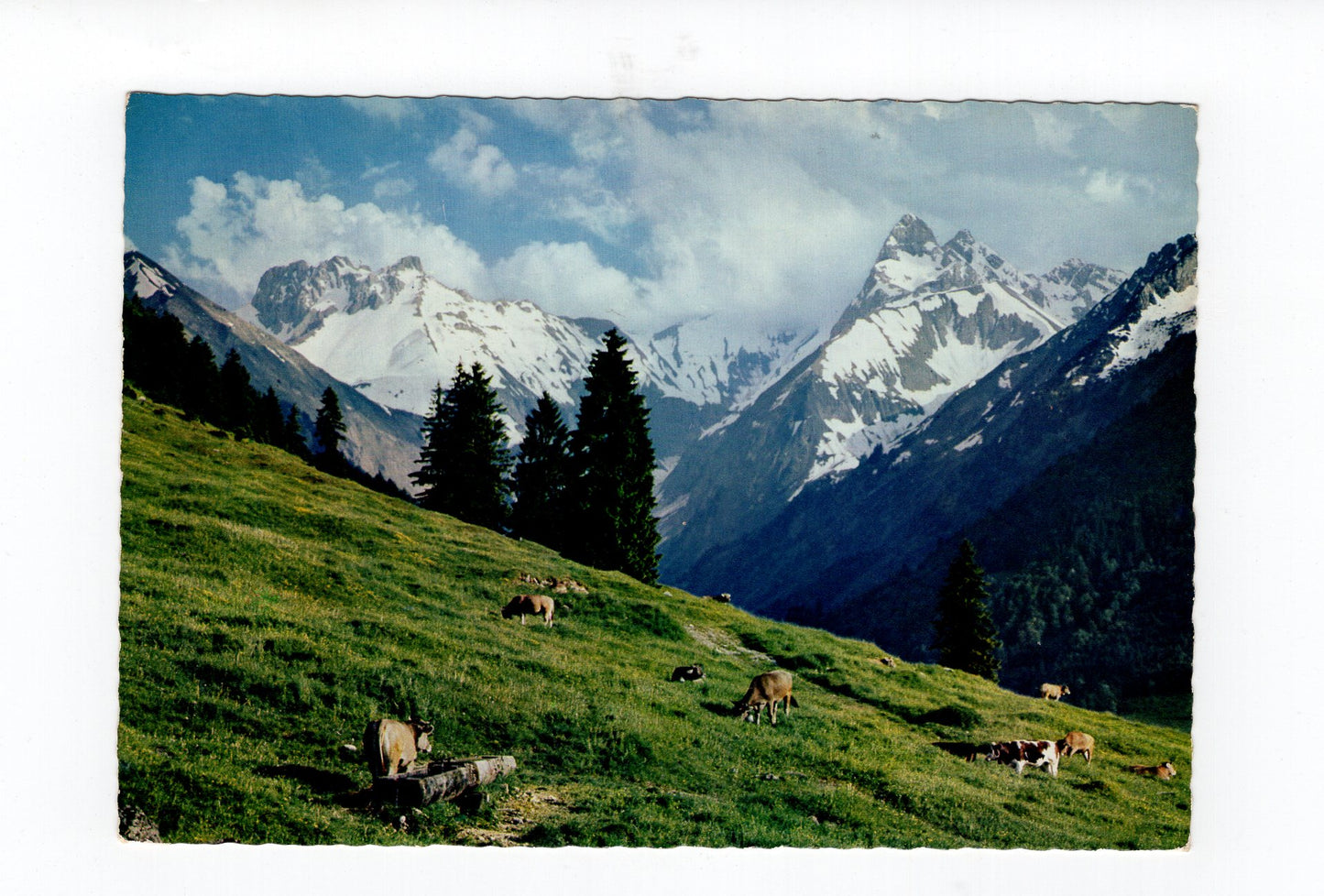 Ansichtskarte Oberstdorf im Allgäu