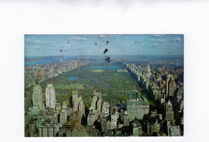 Ansichtskarte Central Park / New York / USA