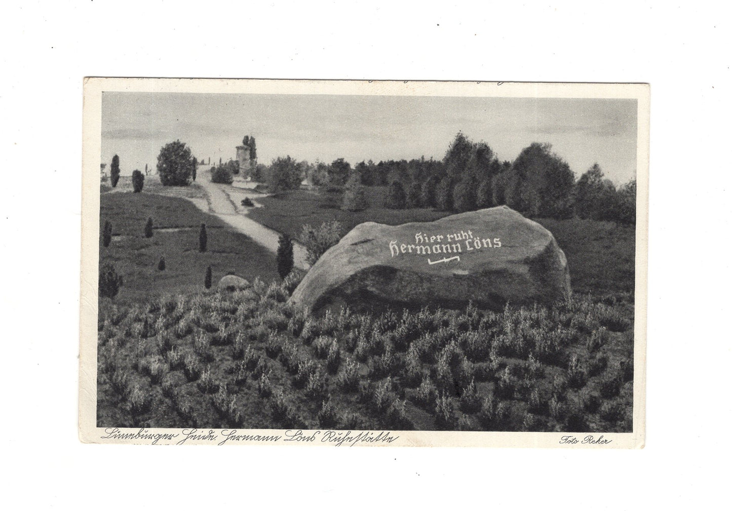 Ansichtskarte Lüneburger Heide / Hermann-Löns-Ruhestätte
