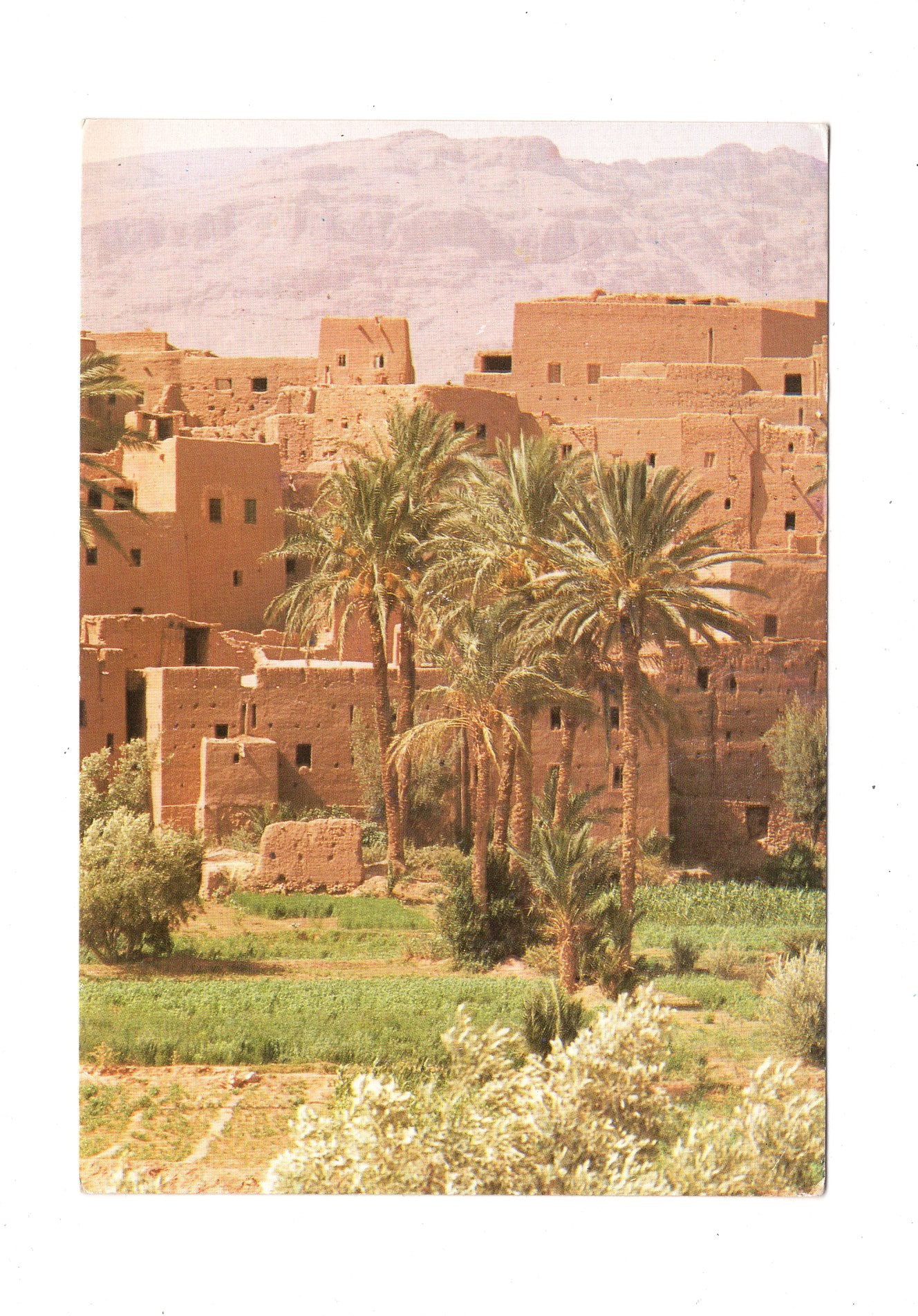 Ansichtskarte Vallee du Draa / Marokko